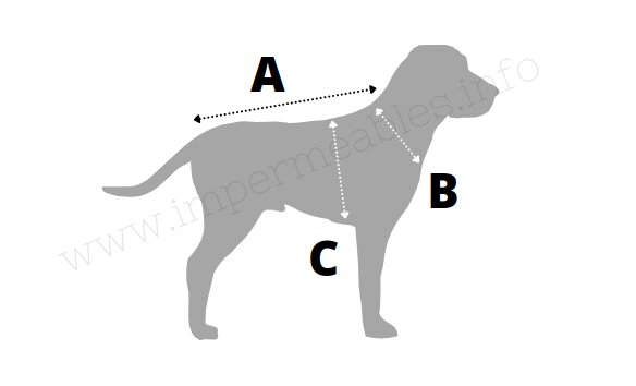 Comment mesurer mon chien pour trouver la bonne taille d'imperméable ?